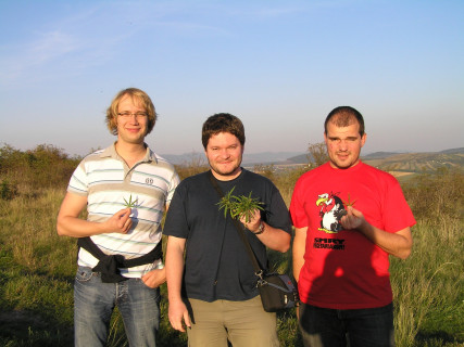 Da Tripoo - Megyaszo (2007)