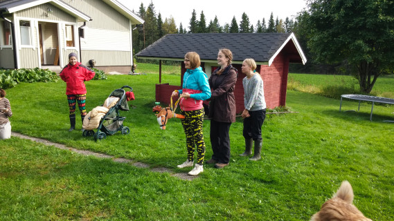 Summer neighbour games (2017)